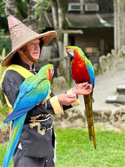 birds show morbihan tropical park