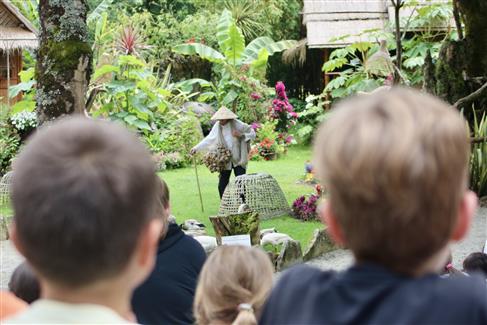 birds show brittany tropical park