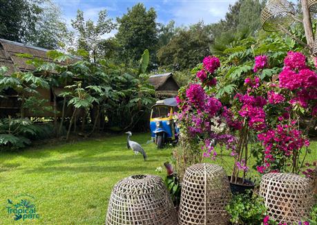 Tropical Parc dans le Morbihan