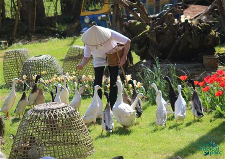 Tropical Parc dans le Morbihan