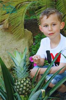Tropical Parc dans le Morbihan