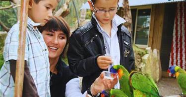 Tropical Parc dans le Morbihan