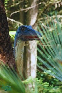 Tropical Parc dans le Morbihan