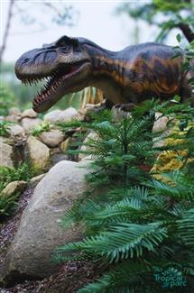 Tropical Parc dans le Morbihan