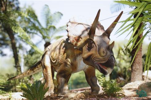 Tropical Parc dans le Morbihan