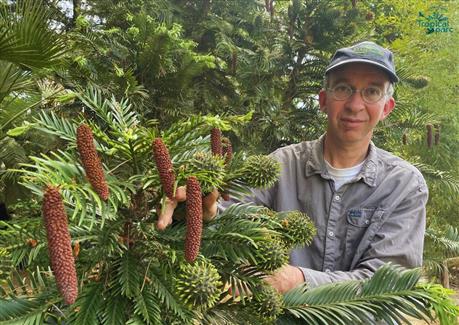 Tropical Parc dans le Morbihan