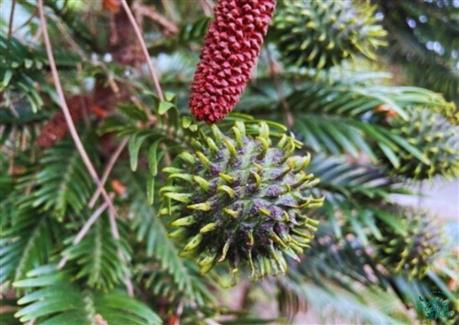 Tropical Parc dans le Morbihan