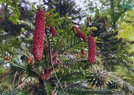 Tropical Parc dans le Morbihan