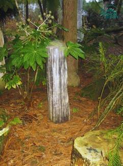 Tropical Parc dans le Morbihan