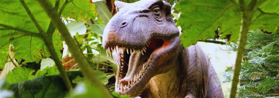 Morbihan Zoo park