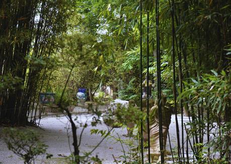 Tropical Parc dans le Morbihan