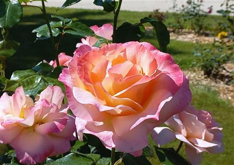 Tropical Parc dans le Morbihan