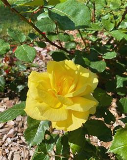Tropical Parc dans le Morbihan