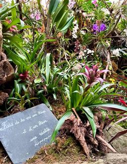 Tropical Parc dans le Morbihan