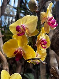 Tropical Parc dans le Morbihan