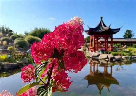 Tropical Parc dans le Morbihan