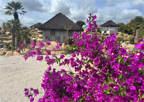 Tropical Parc dans le Morbihan